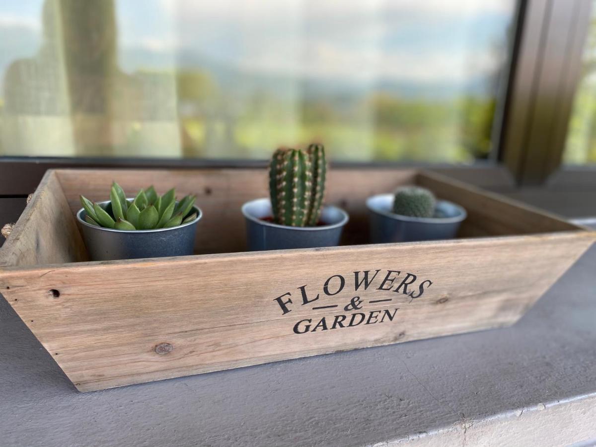 Flowers & Garden Apartment Con Vista Lago 马内尔巴 外观 照片
